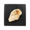 Filet de poulet halal